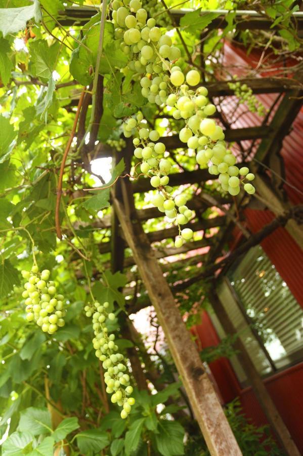 Grapehouse Koenji Hostel Tokio Exterior foto